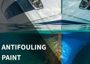 Development of Silicone-Based Anti-Fouling Coatings for Ships